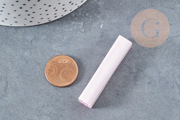 Lot canes polymère carrées mélangées 50mm motif animal, x5 (G8902)