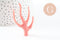 Pendentif Branche forme corail plastique rose 60mm, pendentif inspiré océan, x1 (G9749)