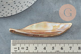 Pendentif aile nacre naturelle doré 69-73mm, x2 (G3872)