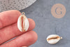 Pendentif cauri ouvert coquillage naturel doré, pendentif doré, création bijou coquillage cauri, coquillage naturel, x1,23-28mm-G2139