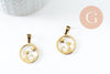 Pendentif chat étoile acier 304 doré inoxydable 19mm, x1 G9859