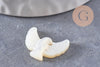 Pendentif connecteur colombe nacre blanche naturelle 18mm, x1 (G9928)