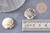 Pendentif coquillage acétate blanc crème 18.5mm, x1 (G10406)