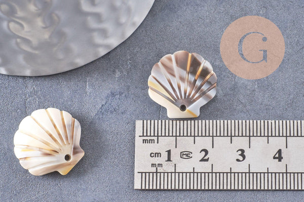 Pendentif coquillage acétate blanc crème 18.5mm, x1 (G10406)