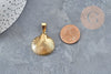Pendentif coquillage acier 304 doré inoxydable 27mm, x1 (G3280)