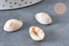 Pendentif coquillage cauri acrylique beige marbré 19mm, x10 (G5488)