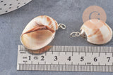 Pendentif coquillage argenté, coquillage naturel,création bijoux, coquillage bijou,coquillage argent, x1,26-38mm-G2311