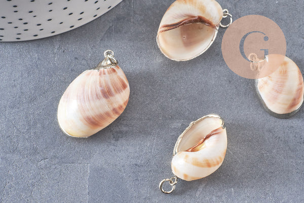 Pendentif coquillage argenté, coquillage naturel,création bijoux, coquillage bijou,coquillage argent, x1,26-38mm-G2311