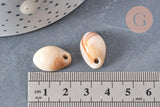 Pendentif coquillage cauri acrylique beige marbré 19mm, x10 (G5404)