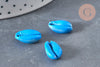 Pendentif coquillage cauri bleu, coquillage naturel,cauri bleu,coquillage bijou,15mm, x5 (G3123)
