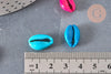 Pendentif coquillage cauri colore, coquillage naturel,cauri,coquillage bijou,15mm, x5 (G1531)