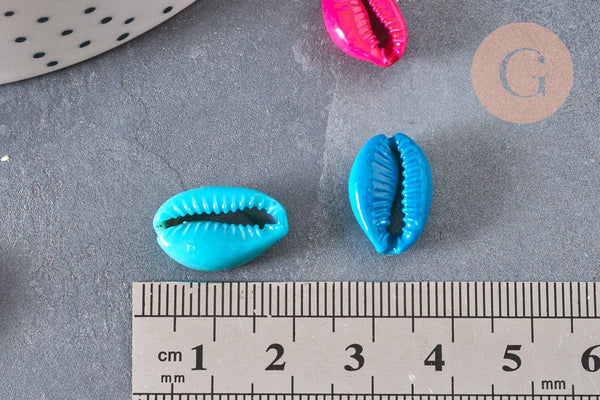 Pendentif coquillage cauri colore, coquillage naturel,cauri,coquillage bijou,15mm, x5 (G1531)