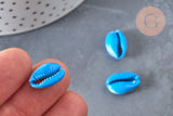 Pendentif coquillage cauri naturel bleu 15mm, x5 (G3123)