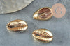 Pendentif coquillage cauri naturel doré clair20mm, x5 (G1121)