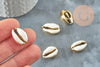Pendentif coquillage cauri naturel doré resine blanche 19mm,création bijoux coquillage x5 (G0369)