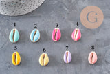 Pendentif coquillage cauri naturel resine colorée 19mm, x5 (G0736)