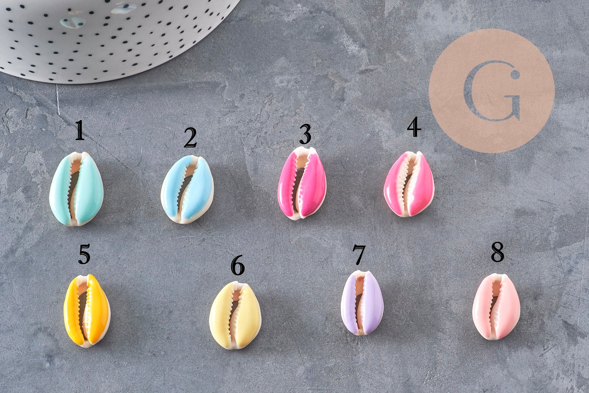 Pendentif coquillage cauri naturel resine colorée 19mm, x5 (G0736)