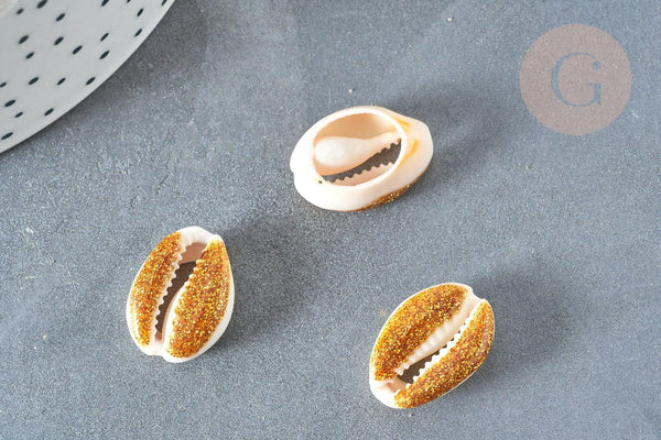 Pendentif coquillage cauri naturel résine et paillettes or 17-22mm, x5 (G7352)