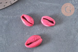 Pendentif coquillage cauri naturel rose 15mm, x5 (G1530)