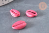 Pendentif coquillage cauri naturel rose 15mm, x5 (G1530)
