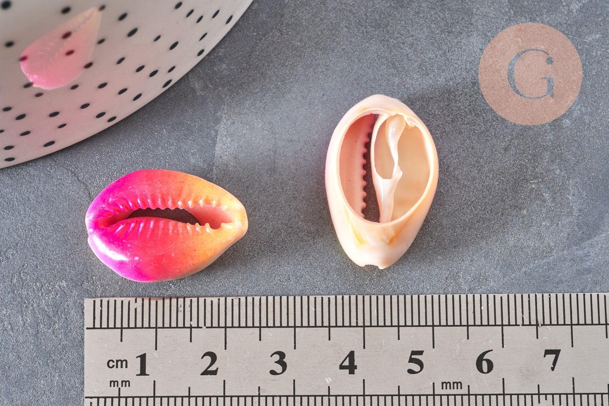 Pendentif coquillage cauri naturel rose jaune 20mm, x5 (G0367)