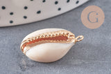 Pendentif coquillage cauri ouvert naturel doré, coquillage Conch bijou naturel, 23mm, x1 , G2296