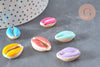 Pendentif coquillage cauri resine,coquillage naturel,cauri couleur,19mm, x5 (G0736)