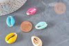 Pendentif coquillage cauri resine,coquillage naturel,cauri couleur,19mm, x5 (G0736)