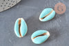 Pendentif coquillage cauri resine,coquillage naturel,cauri couleur,19mm, x5 (G0736)