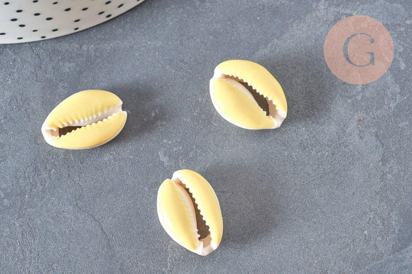 Pendentif coquillage cauri resine,coquillage naturel,cauri couleur,19mm, x5 (G0736)