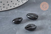 Pendentif coquillage cauris noirs,coquillage naturel,cauri noir,coquillage bijou,15mm, x5 (G0370)