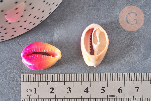 Pendentif coquillage cauris rose jaune,coquillage naturel,coquillage bijou,20mm, x5 (G0367)