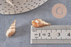 Pendentif coquillage laiton doré 18K 20.5mm, x2 (G6888)