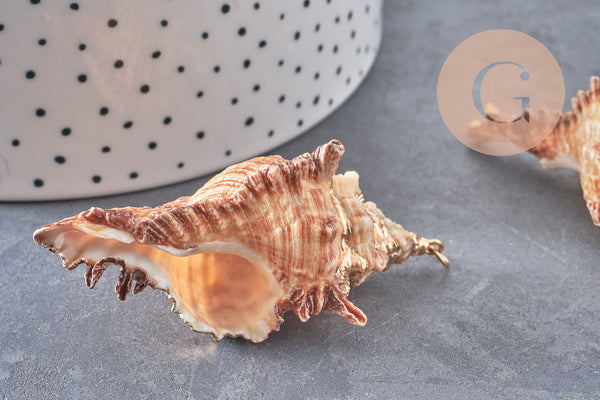 Pendentif coquillage naturel Conch doré, fourniture créative, pendentif doré, création bijoux, coquillage bijou,coquillage or,40-65mm-G1387