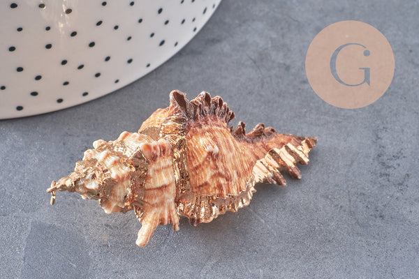 Pendentif coquillage naturel Conch doré, fourniture créative, pendentif doré, création bijoux, coquillage bijou,coquillage or,40-65mm-G1387