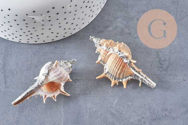 Pendentif coquillage naturel argenté, pendentif argent création bijoux, coquillage Conch bijou,coquillage naturel, 30mm-G1259