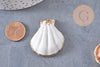 Pendentif coquillage naturel coque doré 32-42mm, x1 (G0096)