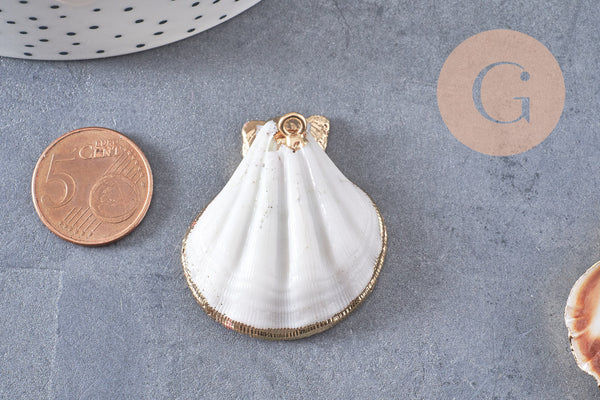 Pendentif coquillage naturel coque doré 32-42mm, x1 (G0096)