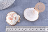 Pendentif coquillage naturel coque doré 40-51mm, x1 (G7163)