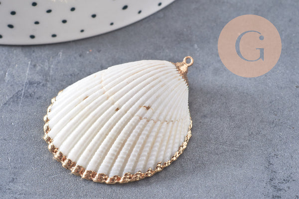 Pendentif coquillage naturel coque doré 42mm, x1 (G0873)