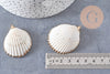 Pendentif coquillage naturel coque doré 42mm, x1 (G0873)