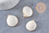 Pendentif coquillage naturel coque doré 42mm, x1 (G0873)