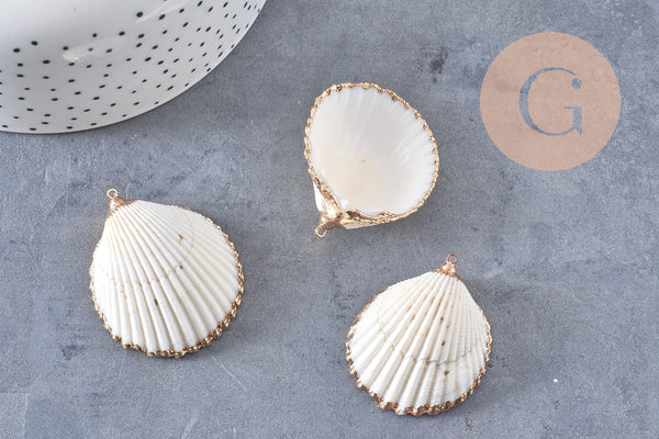 Pendentif coquillage naturel coque doré 42mm, x1 (G0873)