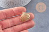 Pendentif coquillage naturel coque doré, fourniture créative, pendentif doré, création bijoux, coquillage bijou,coquillage or,21-25mm-G1342