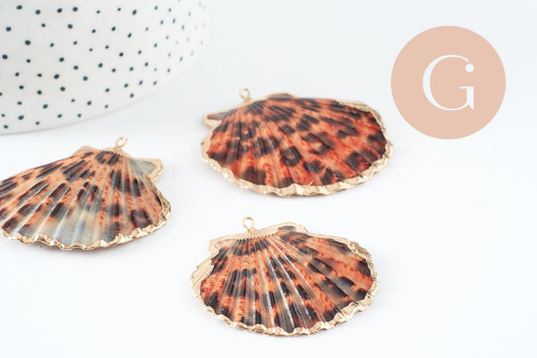 Pendentif coquillage naturel coque doré léopard 41-55mm, pendentif doré pour création bijoux or, x1 G1735