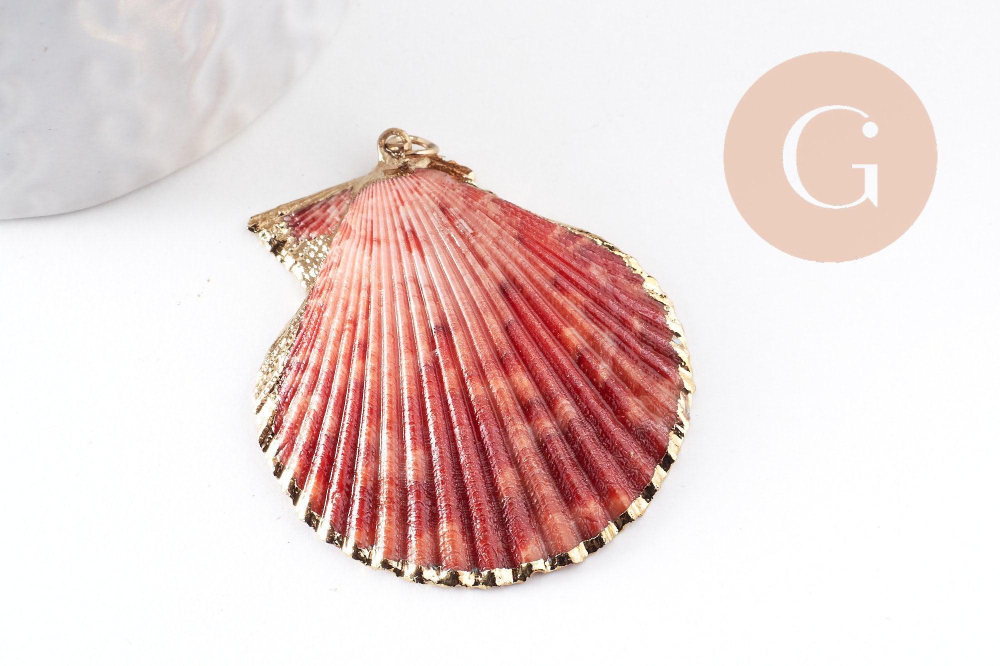 Pendentif coquillage naturel coque doré, pendentif doré, coquillage bijou,coquillage or,50mm x1 (G0933)