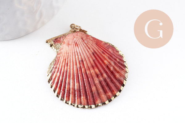 Pendentif coquillage naturel coque doré, pendentif doré, coquillage bijou,coquillage or,50mm x1 (G0933)