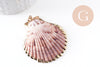 Pendentif coquillage naturel coque doré, pendentif doré, coquillage bijou,coquillage or,50mm x1 (G0933)