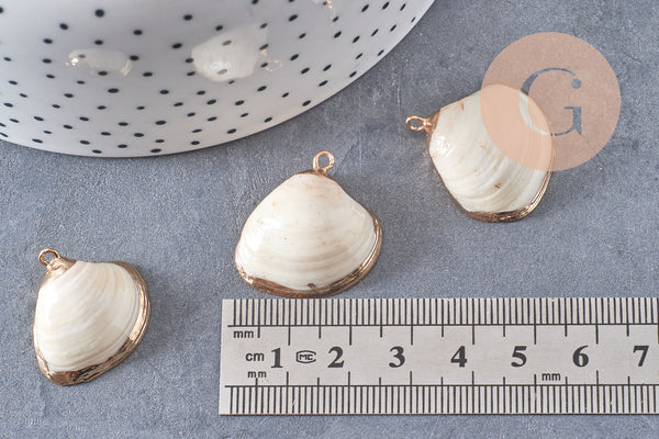 Pendentif coquillage naturel coque doré,pendentif doré, création bijoux, coquillage bijou,coquillage or,22-29mm, x 2-G1815