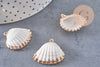 Pendentif coquillage naturel coque laiton doré 21-25mm, x1 (G6464)